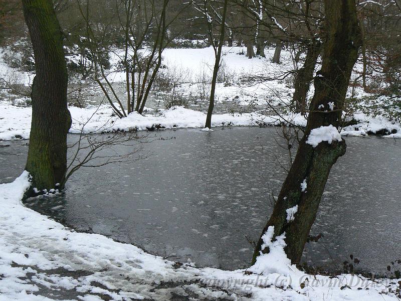 Winter, Hampstead Heath P1070629.JPG